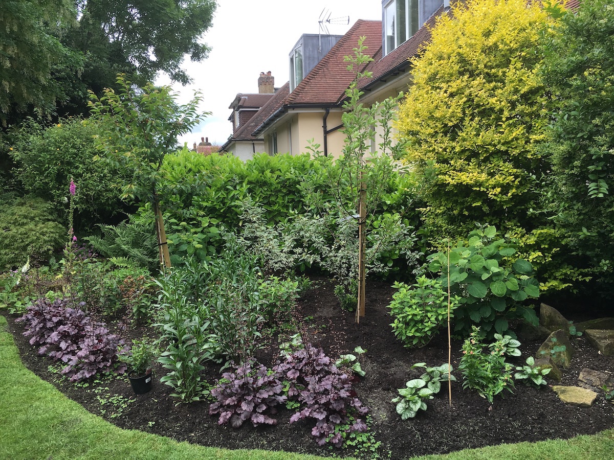 Garden Design Portfolio in Surrey - Berrie Garden Design