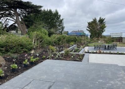 Newly planted garden starting to take shape